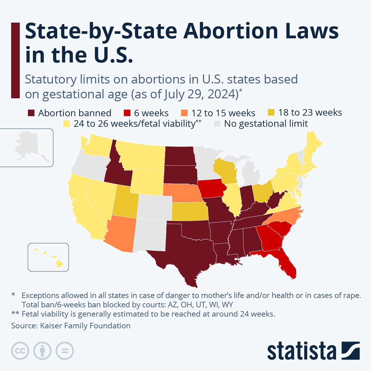 chart-state-by-state-abortion-laws-in-the-u-s-statista