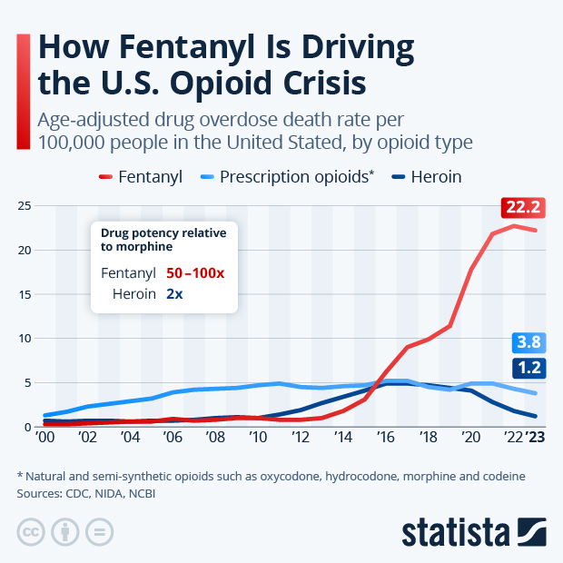 How Fentanyl Is Driving the U.S. Opioid Crisis - Infographic
