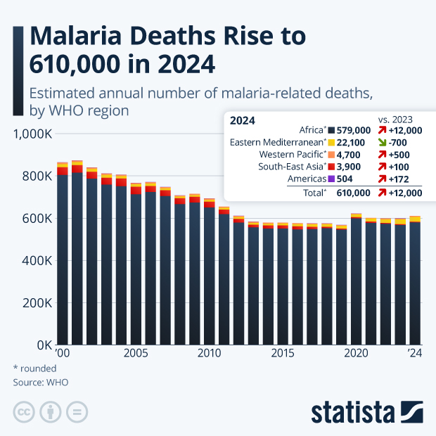 Malaria Deaths Rise to 610,000 in 2024 - Infographic