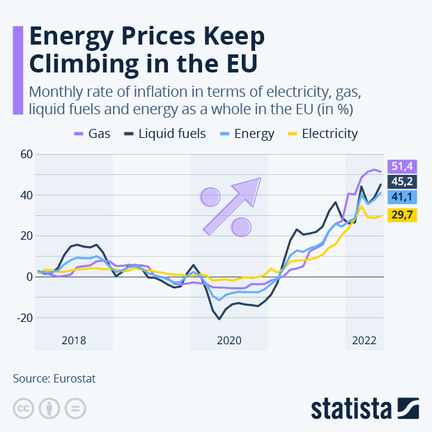 Energy Prices Keep Climbing in the EU - Infographic