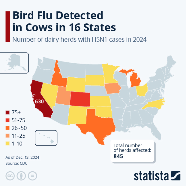 How Many U.S. States Are Affected by Bird Flu? - Infographic