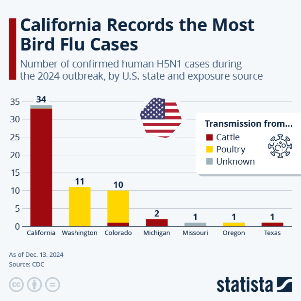 California Records the Most Bird Flu Cases - Infographic