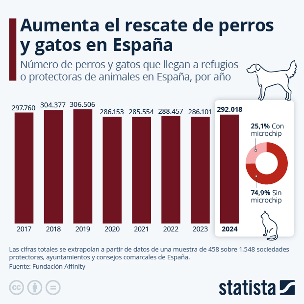 Aumenta el rescate de perros y gatos en España - Infografía