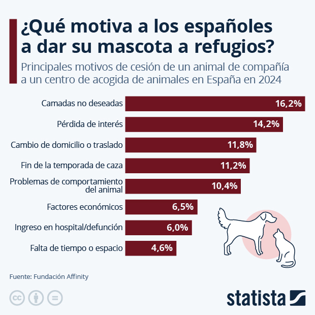 ¿Qué motiva a los españoles a dar su mascota a refugios? - Infografía