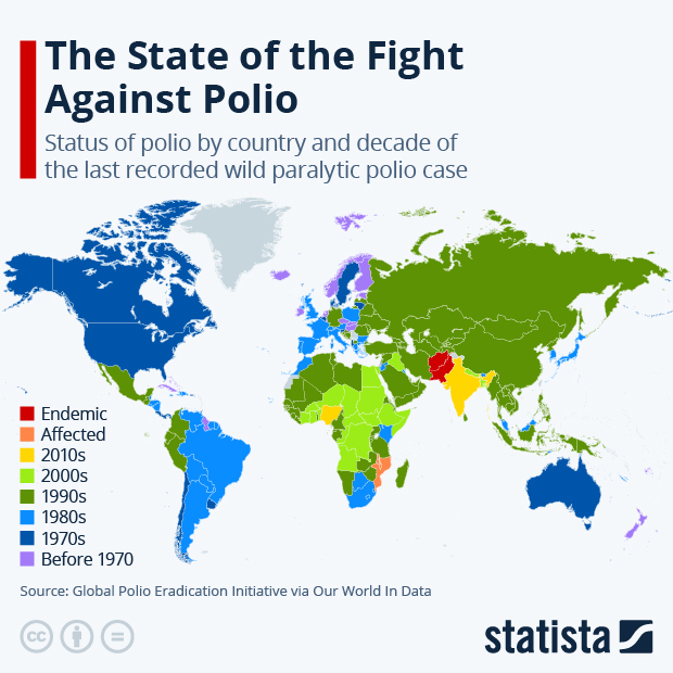 The State of the Fight Against Polio - Infographic