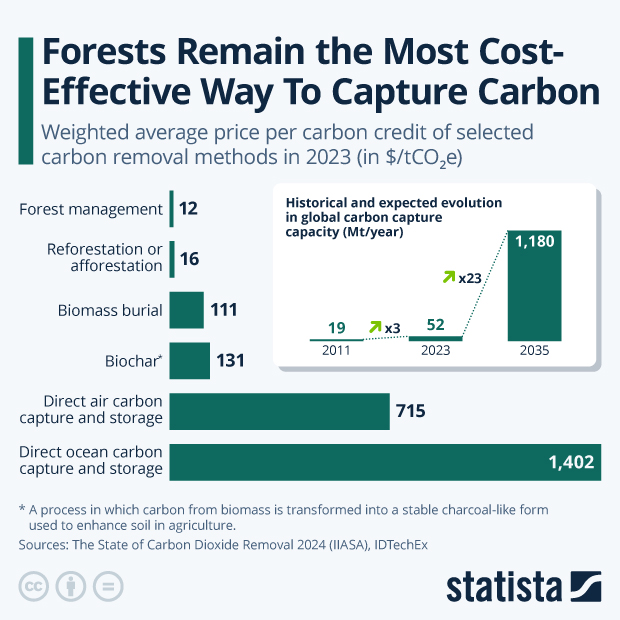 Which Carbon Removal Methods Are the Most Cost-Effective? - Infographic