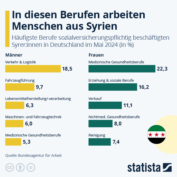 In welchen Berufen arbeiten Menschen aus Syrien? - Infografik
