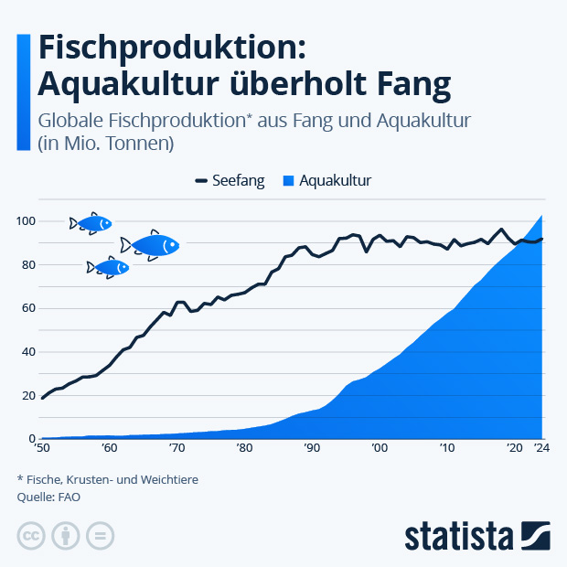 Aquakultur und Fang - wie wird Fisch heute produziert? - Infografik
