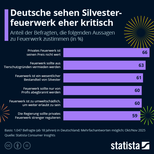 Wie sehen die Deutschen Silvesterfeuerwerk? - Infografik