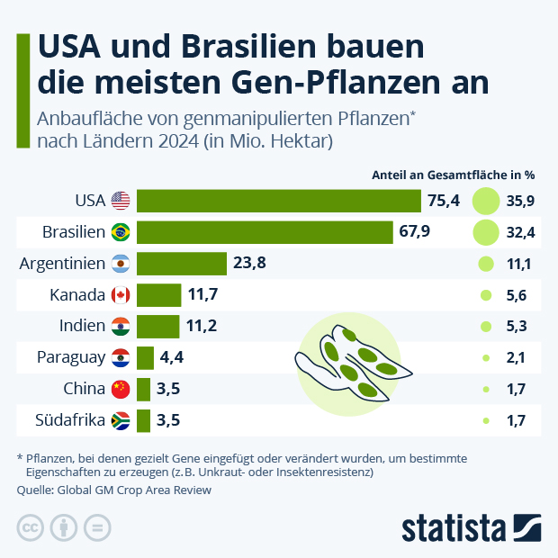 Welche Länder bauen die meisten Gen-Pflanzen an? - Infografik