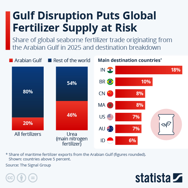 Gulf Disruption Puts Global Fertilizer Supply at Risk - Infographic