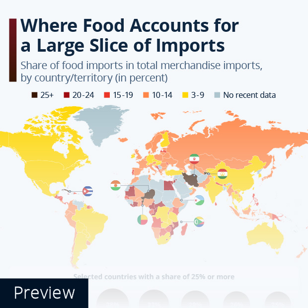 Where Food Accounts for a Large Slice of Imports - Infographic