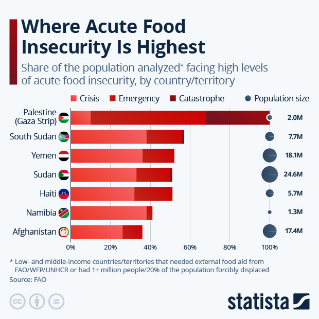 Where Acute Food Insecurity Is Highest - Infographic