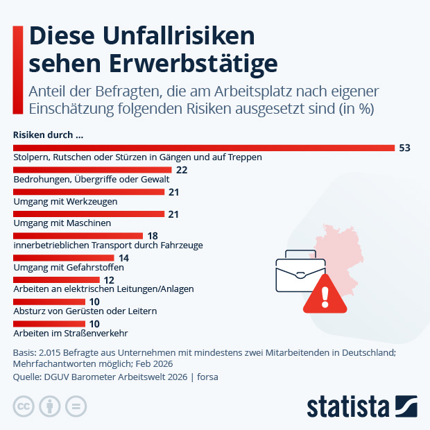 Welche Unfallrisiken sehen Erwerbstätige an ihrem Arbeitsplatz? - Infografik