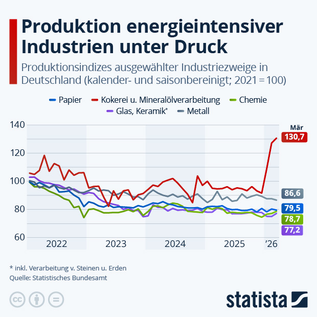 Welche Industriezweige leiden besonders unter hohen Energiepreisen? - Infografik