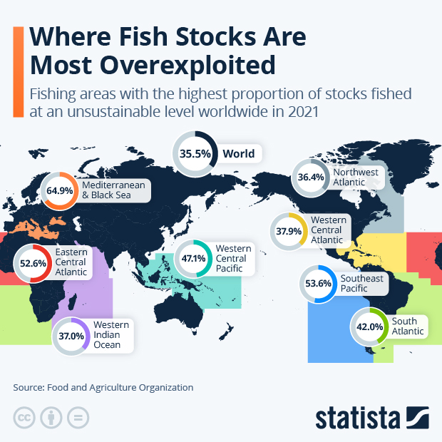 Where Fish Stocks Are Most Overexploited - Infographic