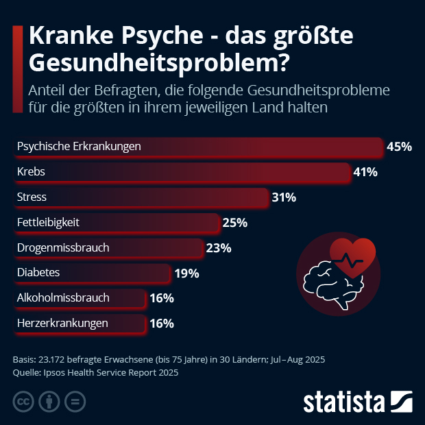 Welches ist das größte Gesundheitsproblem? - Infografik