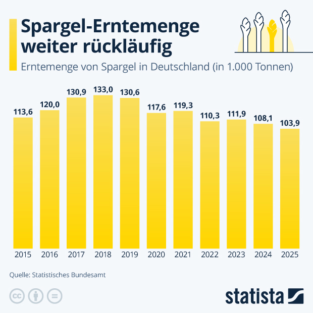 Wie entwickelt sich die Spargel-Erntemenge? - Infografik