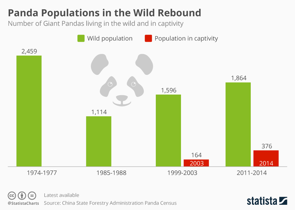 Chart Panda Populations in the Wild Rebound Statista