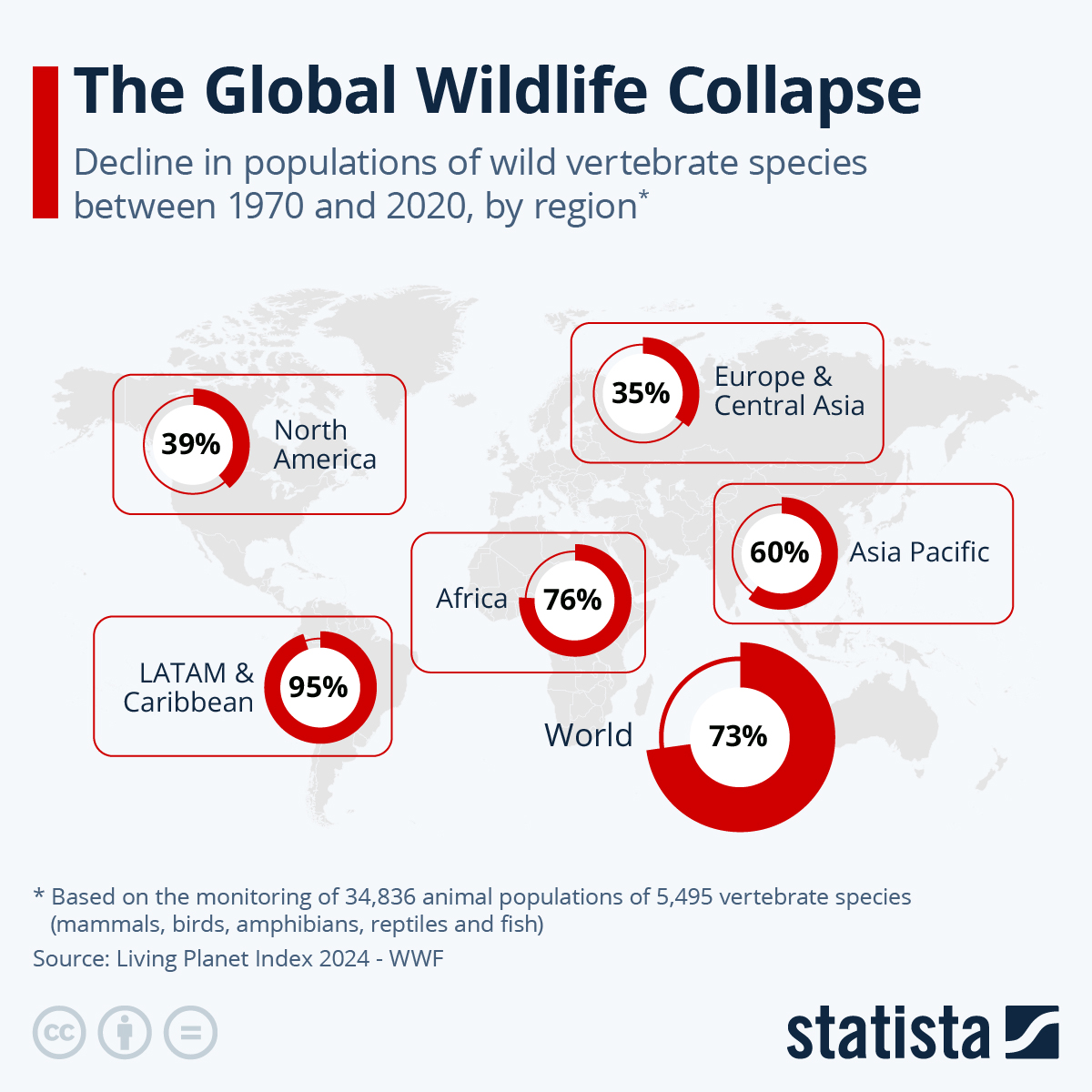 Wildlife populations declining at ‘unprecedented’ rate due to humans