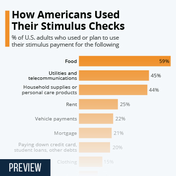 Infographic - How Americans Used Their Stimulus Checks