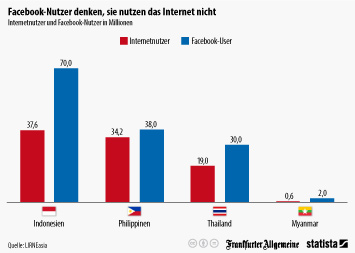 Infografik - Facebook-Nutzer denken, sie nutzen das Internet nicht