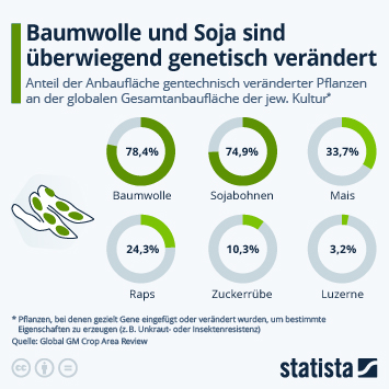 Infografik - Welche Pflanzen sind überwiegend genetisch verändert? Infografik - Welche Pflanzen sind überwiegend genetisch verändert?
