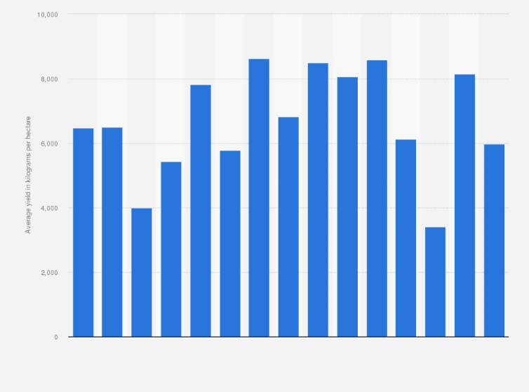 Statistic: Average yield of maize in Hungary from 2010 to 2024 (in kilograms per hectare)