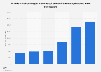 Verwendungsbereiche für Wehrpflichtige in der Bundeswehr