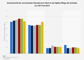 Stunden pro Klient in der Spitex-Pflege der Schweiz bis 2016