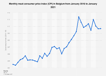 Monthly meat consumer price index (CPI) in Belgium 2016-2018