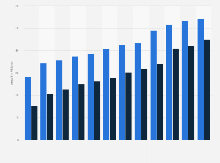 Statistik: Anzahl der Internetnutzer und Online-Shopper in Deutschland in den Jahren 2002 bis 2013 (in Millionen)