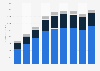 Nike's revenue in emerging markets 2009-2017, by segment