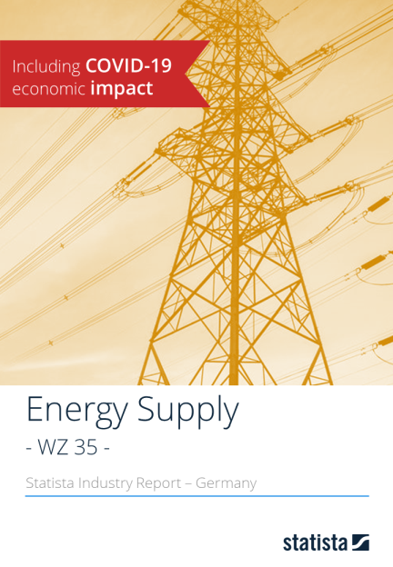 Energieversorgung in Deutschland 2020