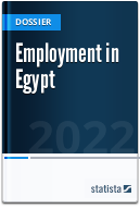 Employment in Egypt - statistics & facts | Statista
