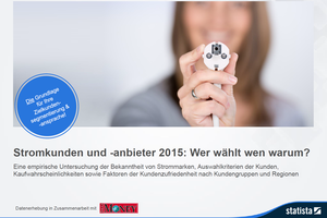 Stromkunden und –anbieter 2015: Wer wählt wen warum?