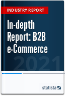 In-depth Report: B2B e-Commerce