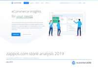 zappos com store analysis 2019 statista kpmg financial year